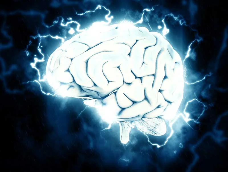 brain_grow.jpg