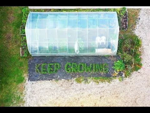 Keep Growing Living Plant Art