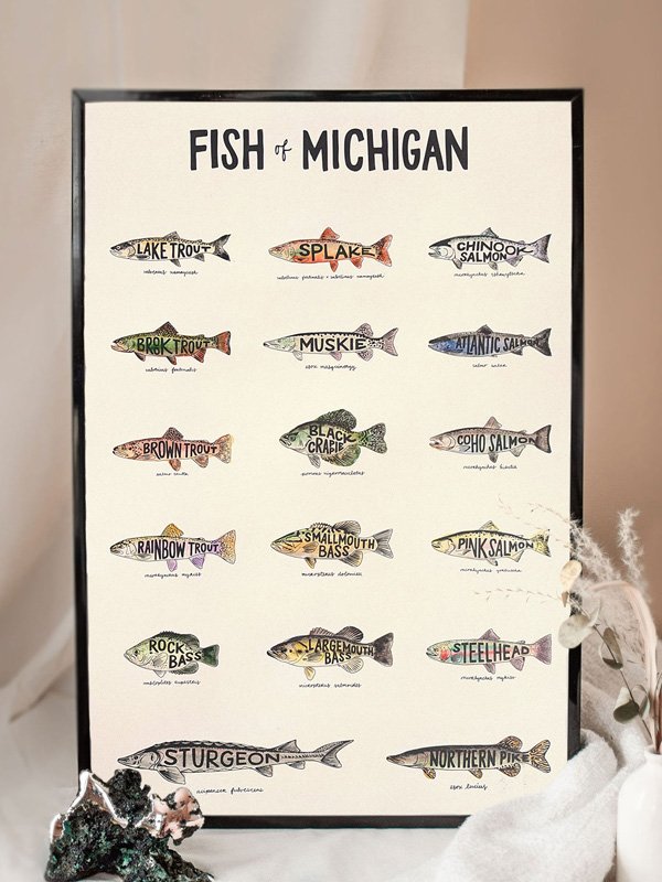 Fish of Michigan Print 