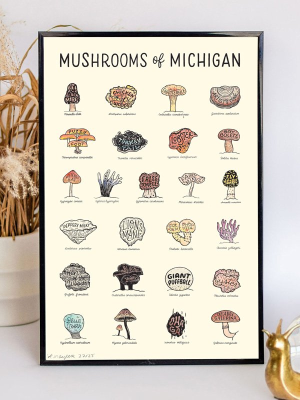 Mushrooms of Michigan Print