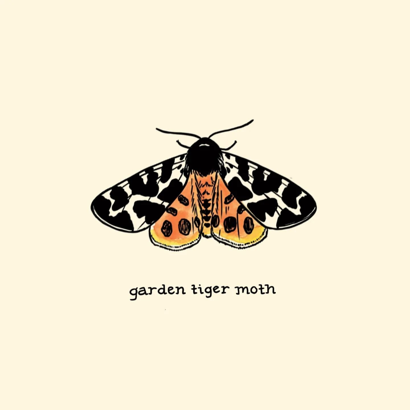 BUGS 🦟🐛🐜🐝🐞🦋🦗🪲

Insect print coming soon!