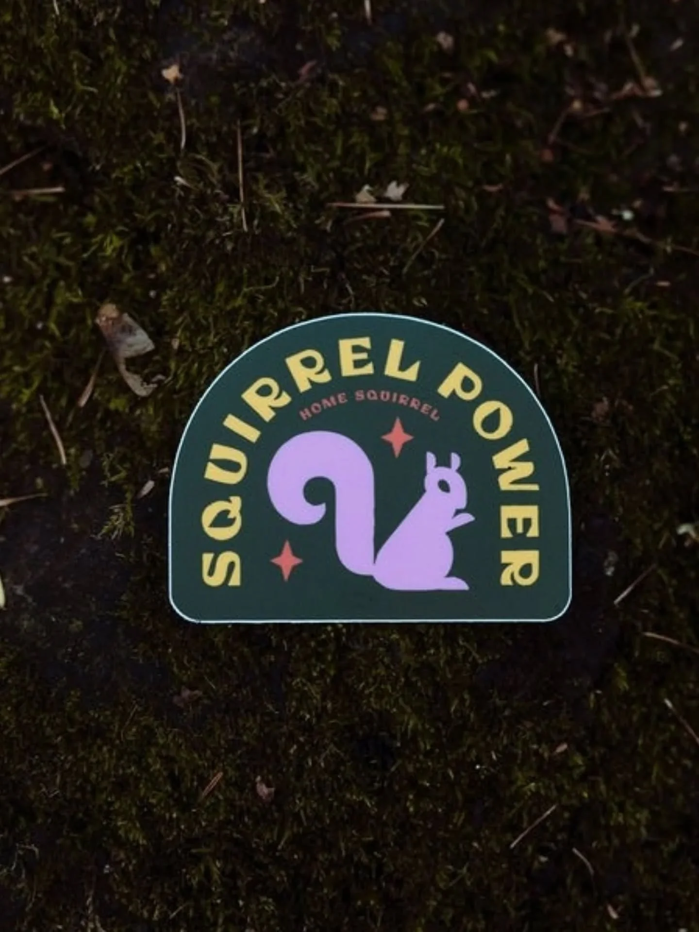 Pinecore stickies 🐿️