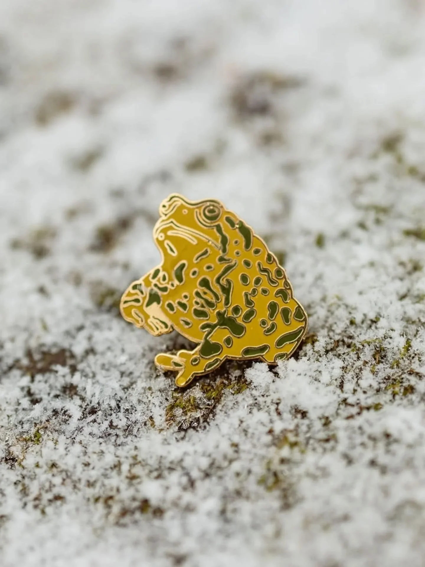 CUTIE LIL ENAMEL PINS! ✨✨

Gold toads and pitcher plants available on Etsy 🐸

Or see me in person at @mqtfarmersmarket tomorrow from 3 - 8 or @barrelandbeam on Sunday from 1 - 4 💜
