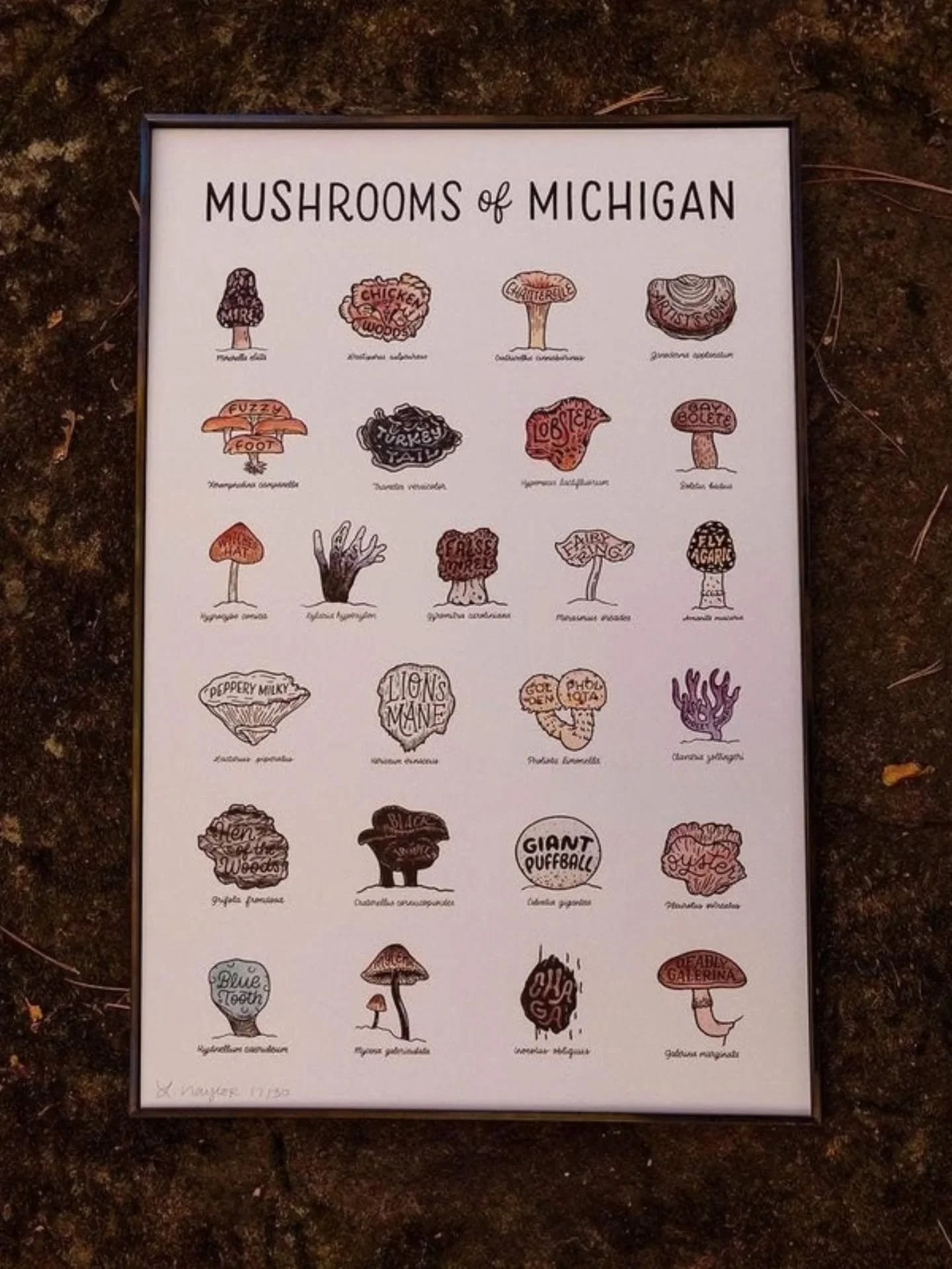 It's mushroom szn 🍄✨

All mushroom stuff is on sale on Etsy. My eyes have been peeled for morels - anyone find any??