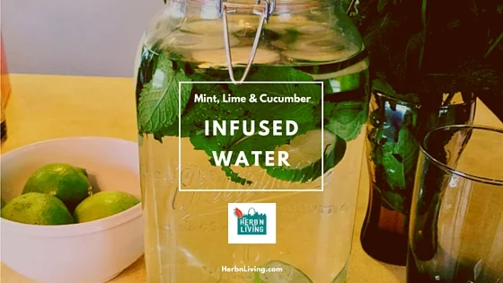 Mint, Lime and Cucumber Infused Water