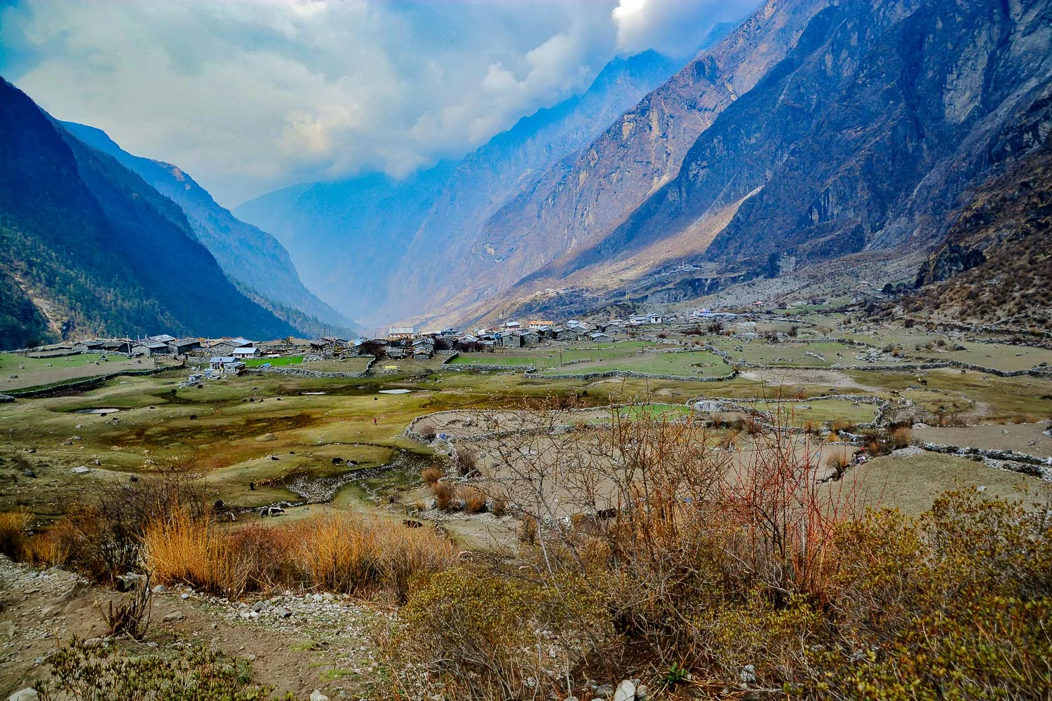 Yvette_Jones_NaturalWorld_Nepal (1 of 1).jpg