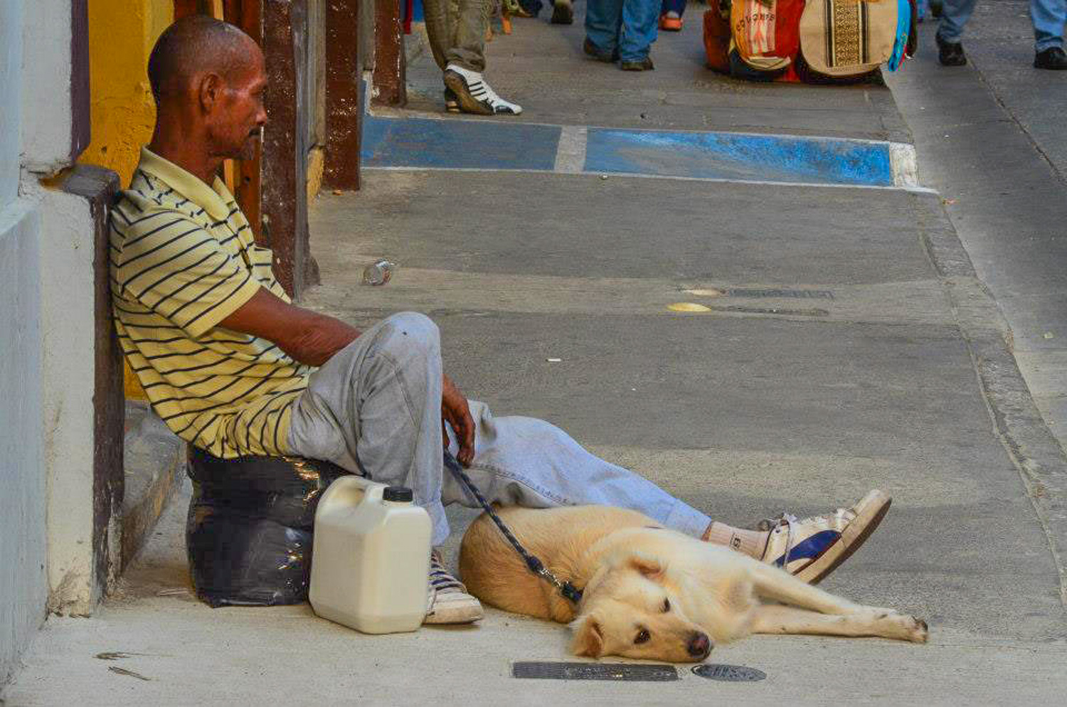 Cartagena, Colombia - man's best friend, regardless of man's circumstances
