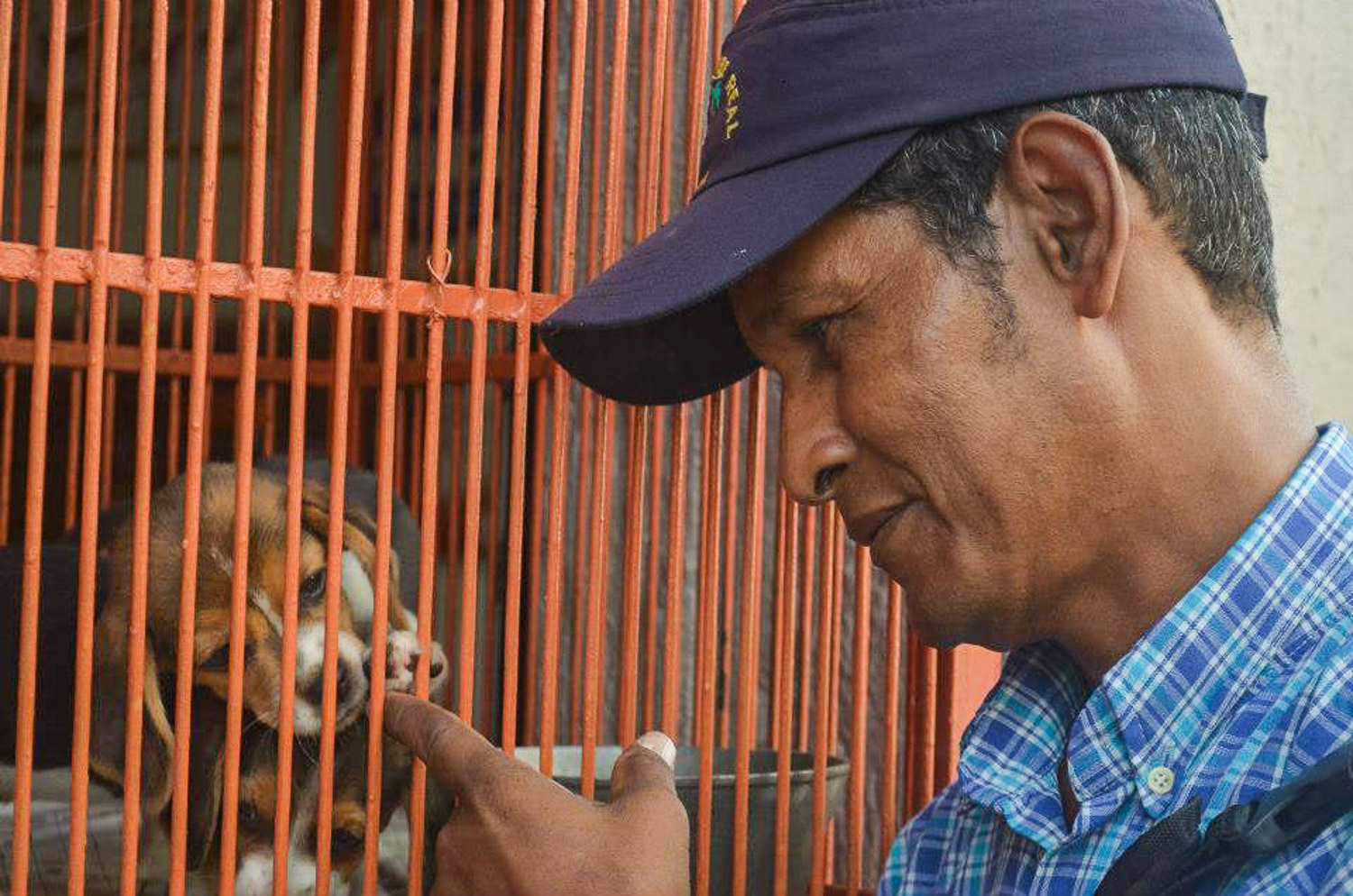 Cartagena, Colombia - A walker-by stopping at a small pet shop to say hello.