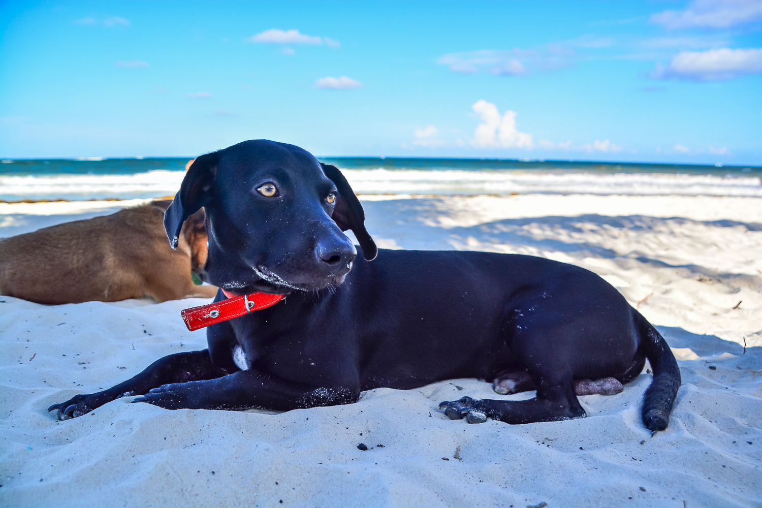 Berto - Tulum Beach, Mexico