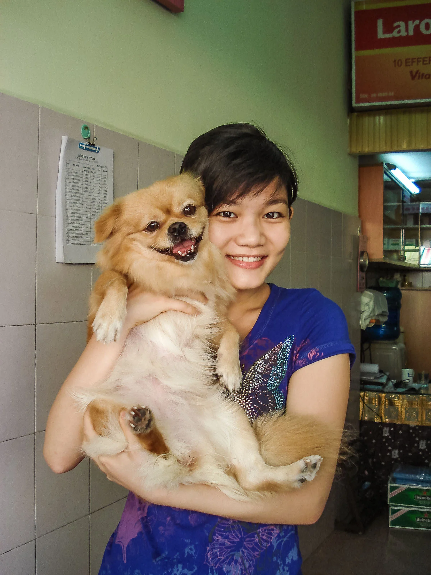 'Who says a dog doesn't smile?' Ho Chi Minh City, Vietnam