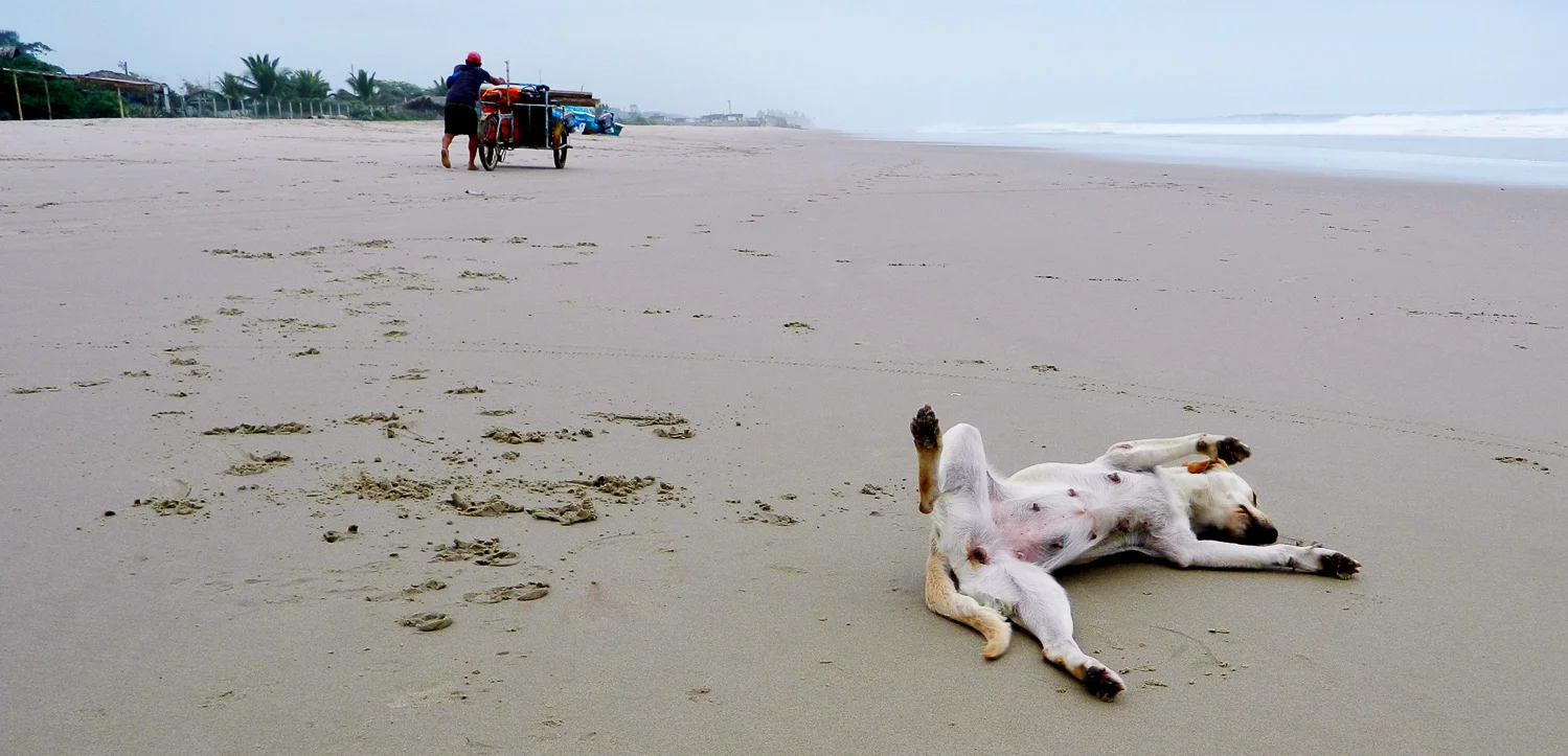 Beach Life, Montanita, Ecuador