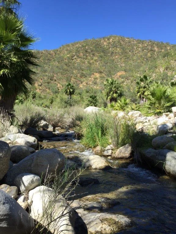 Hiking in Mexico