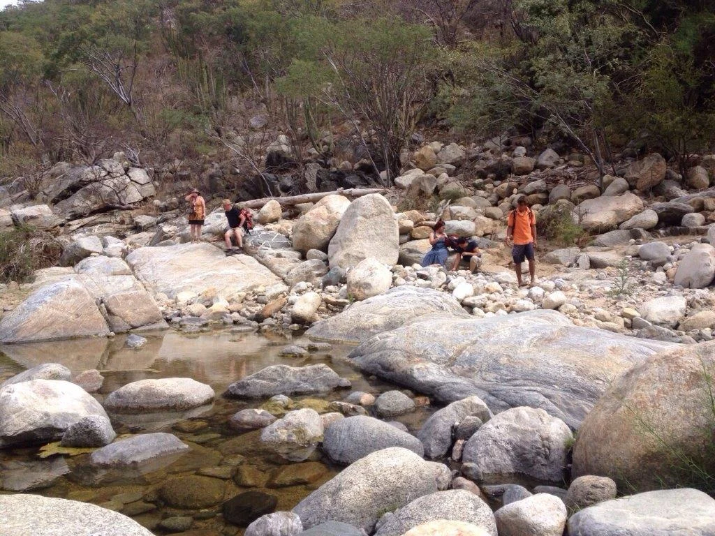 Fox Canyon Hiking Tour
