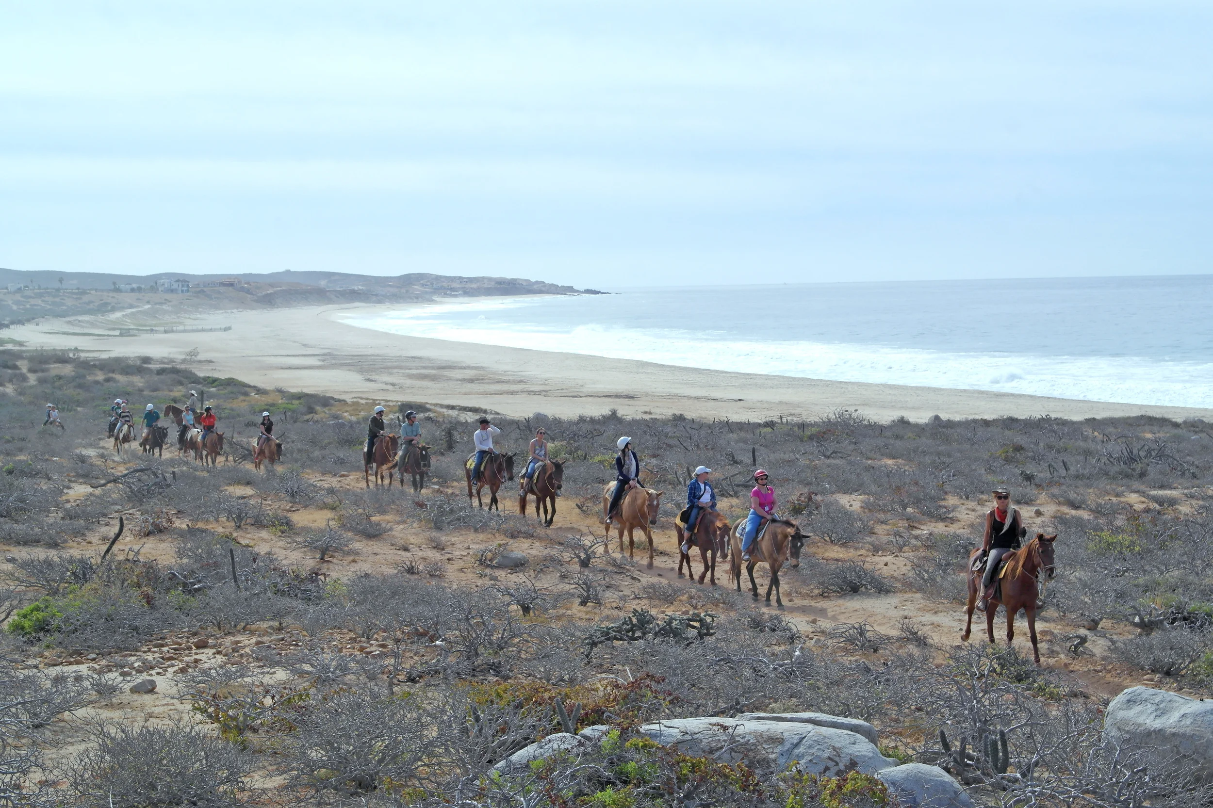 horseback-tour.jpg