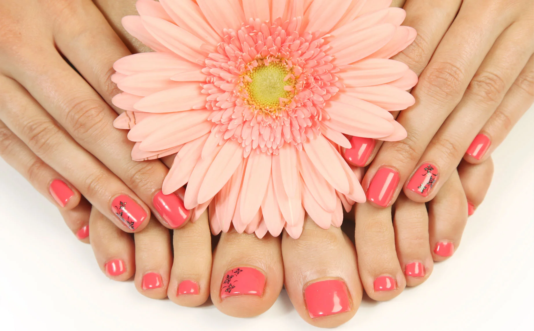 Manuicure and Pedicure $95 - Manicure only $45 - Pedicure only $55