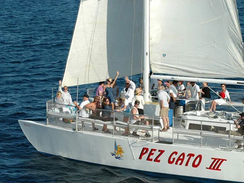 PARTY2.jpg