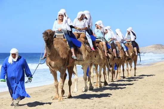 outback-camel-safari.jpg