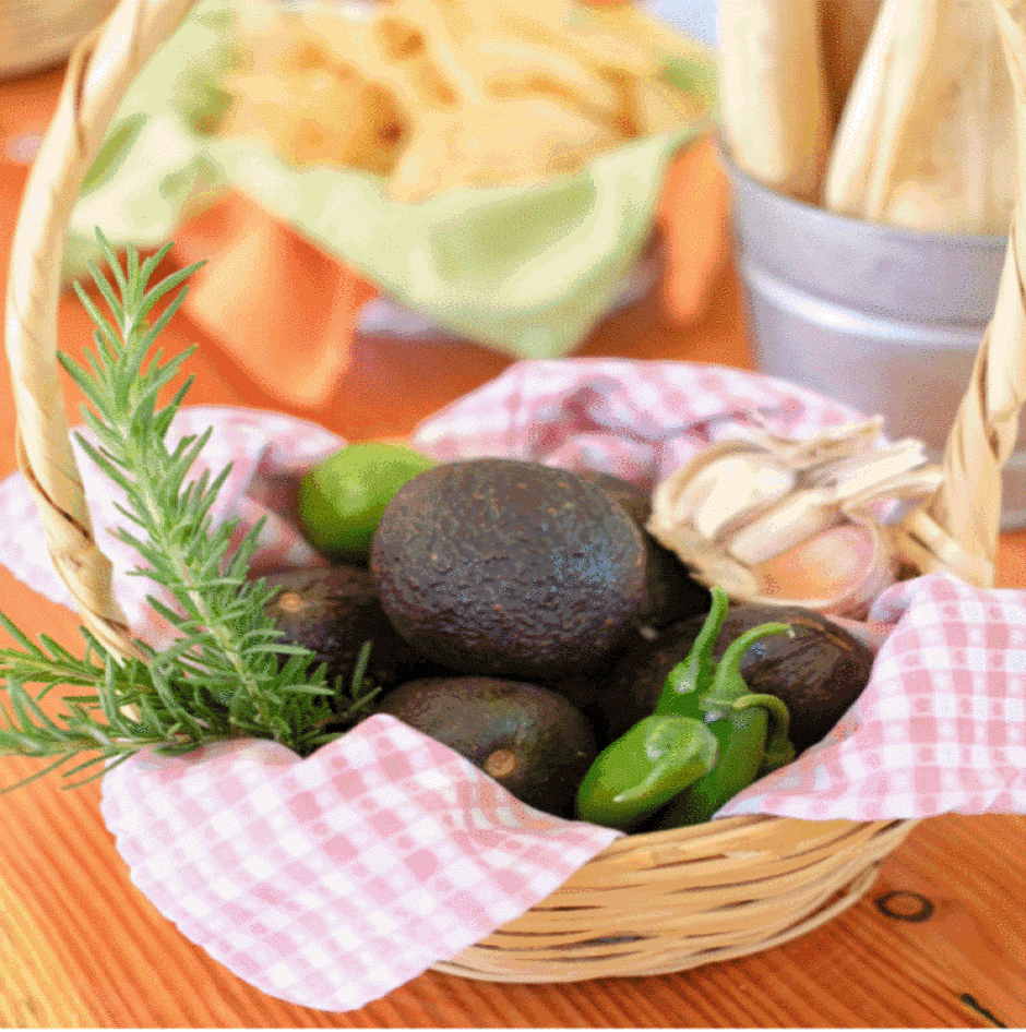 SUMMER COOKING CLASSES: Tuesday: Roasted Vegetables with lime cilantro cream & tomatillo salsa. Plus corn tortillas made the old fashioned way. Wednesday : Seasonal Tamal with homemade guacamole. Friday: Regional Salsas & corn tortillas made the old fashioned way. All cooking classes include a farm tour, lunch and a farm signature cocktail!