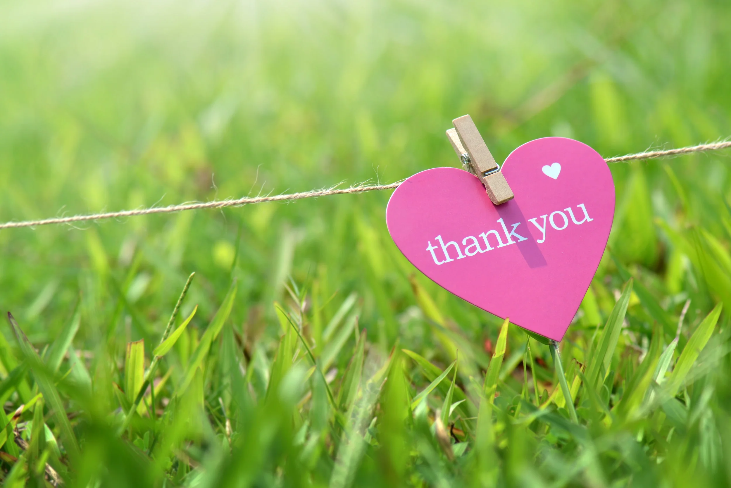 shutterstock_222817771.jpg