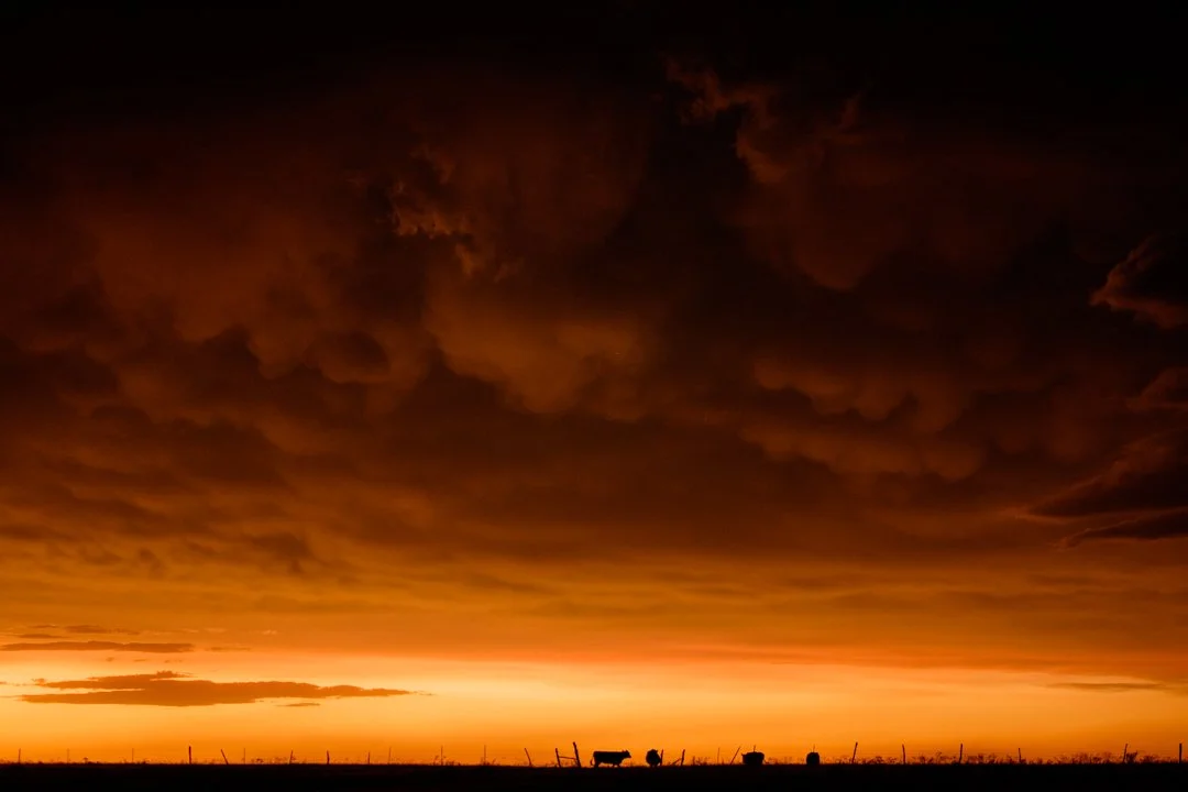 2020 Cattle Storm Cloud Sunset