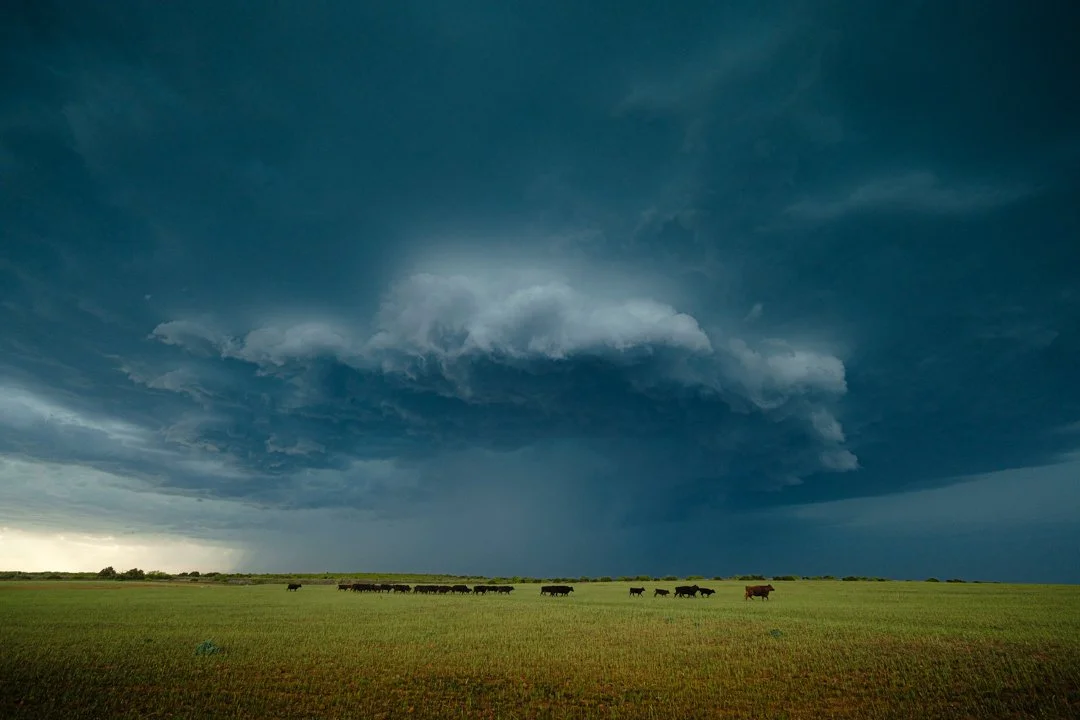 2025 Cattle Storm Cell
