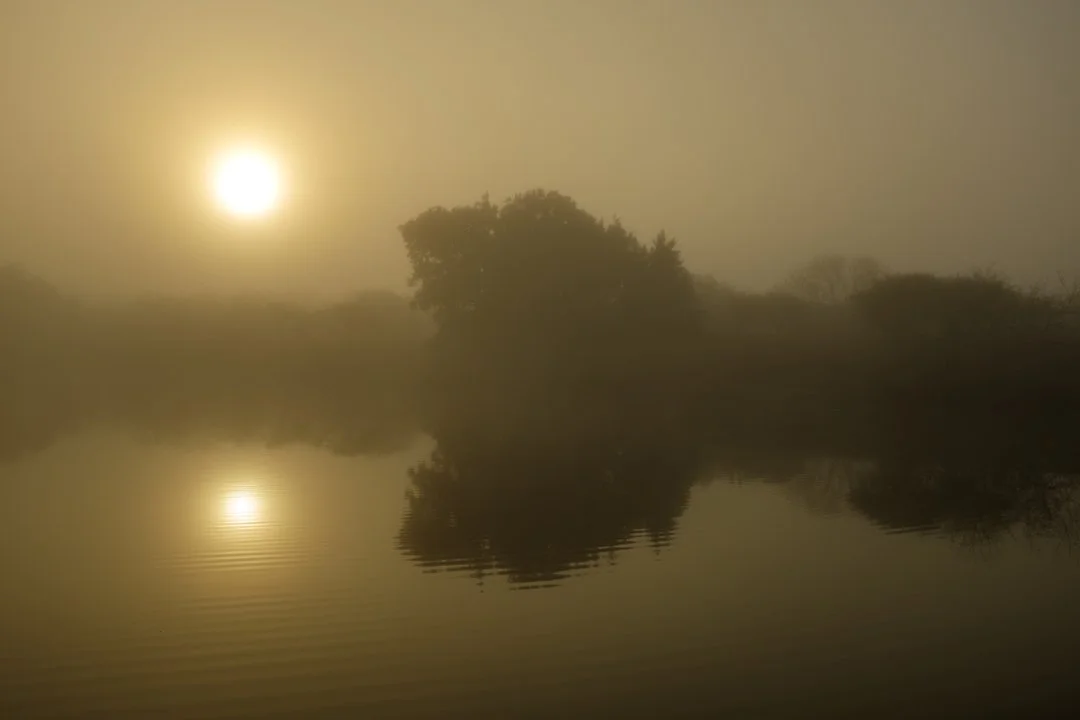 2014 South Texas Sunrise