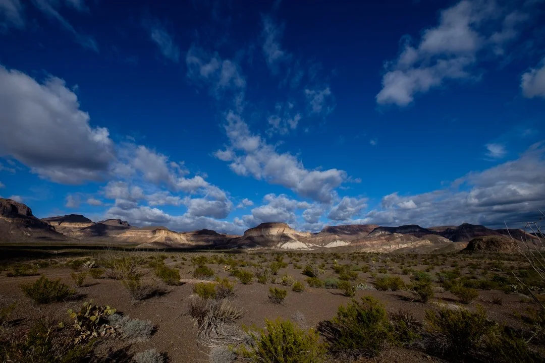 2016 Big Bend State Park