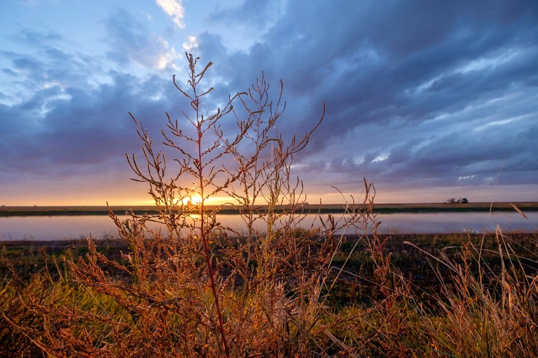 2015 Texas Playa Sunset