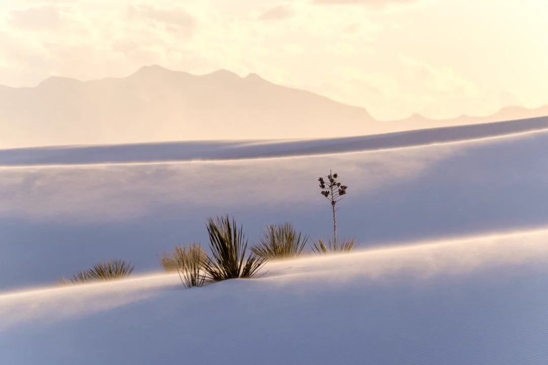 2020 White Sands New Mexico Sunrise