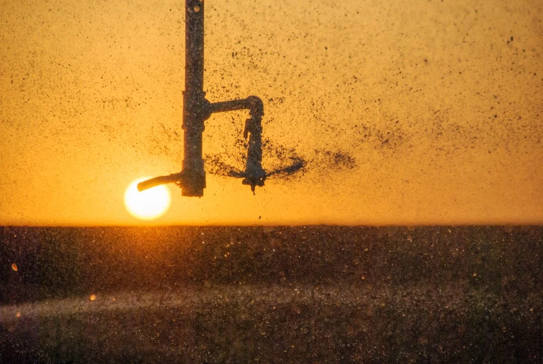 2009 Irrigation Sunset