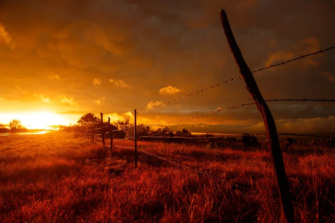 2020 Fenceline Sunset