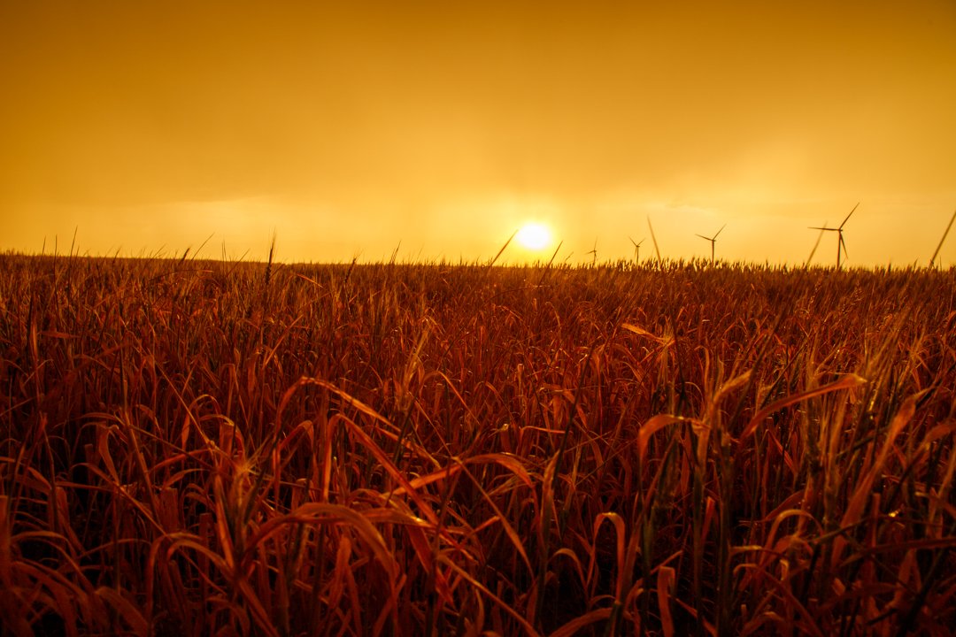 2020 Texas Storm Sunset