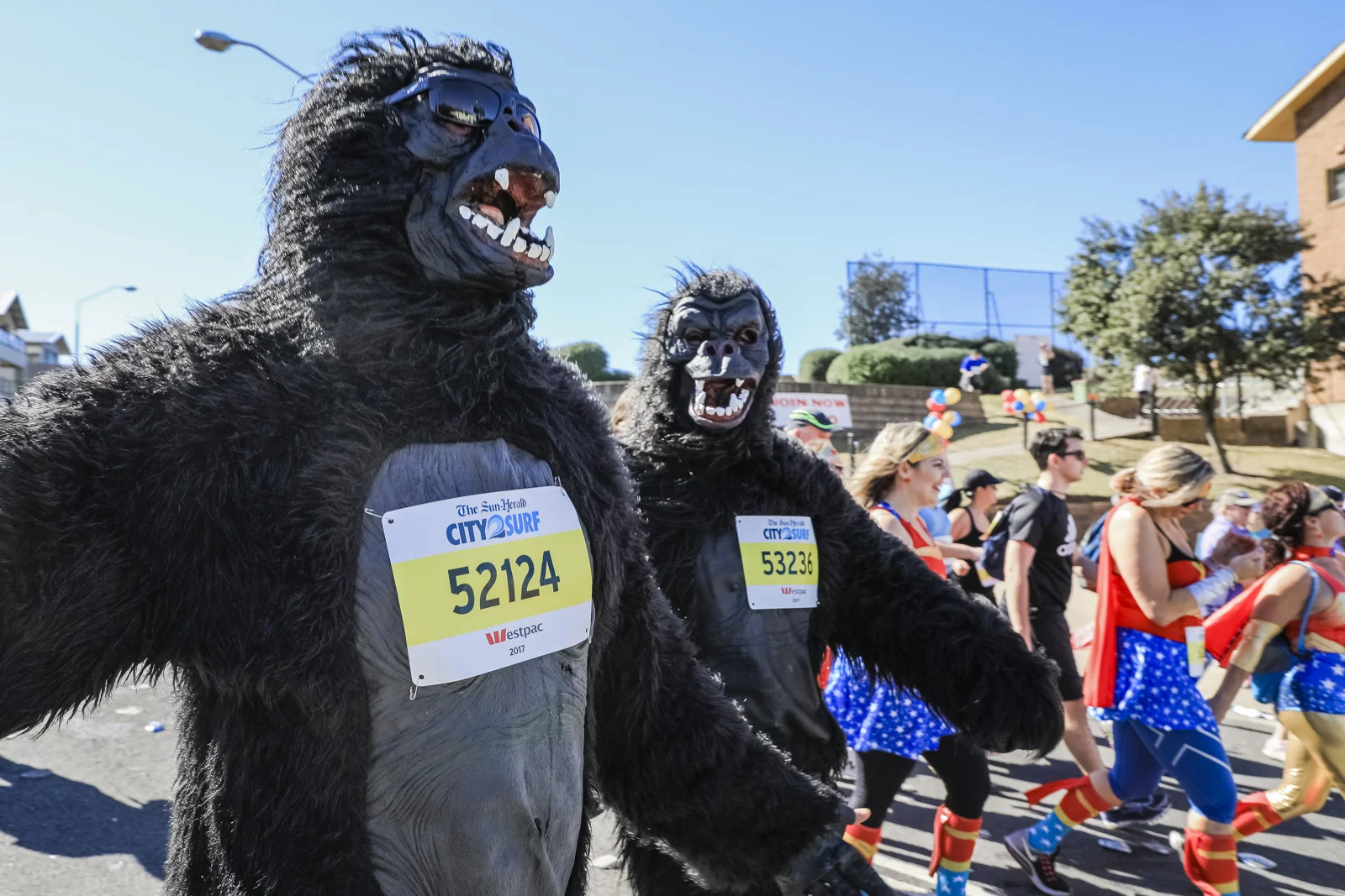 City2Surf -® Salty Dingo 2017 -6048.jpg