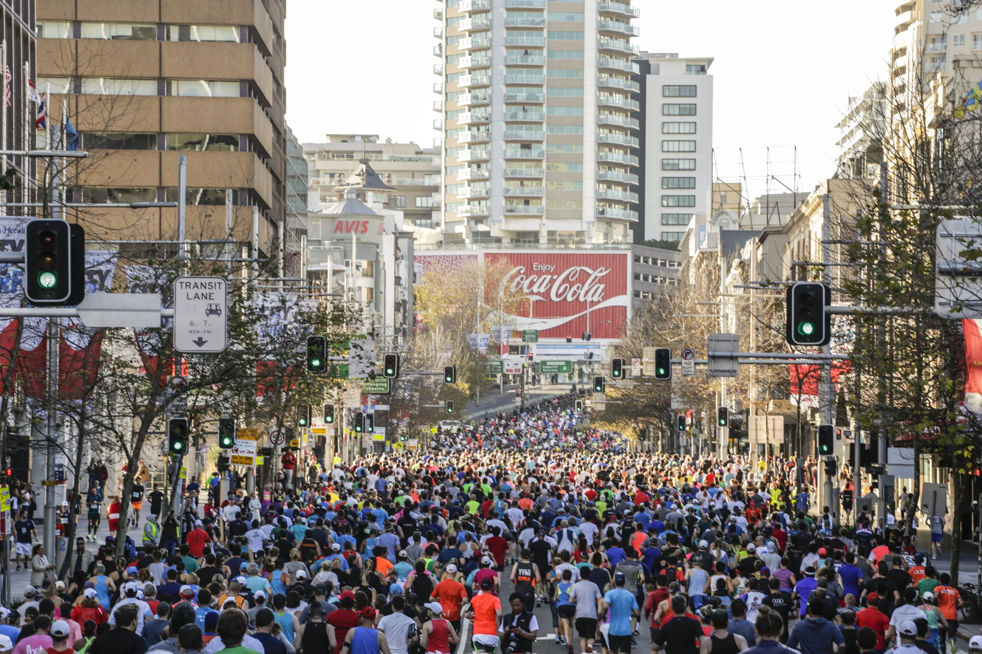 City2Surf -® Salty Dingo 2017-23731.jpg