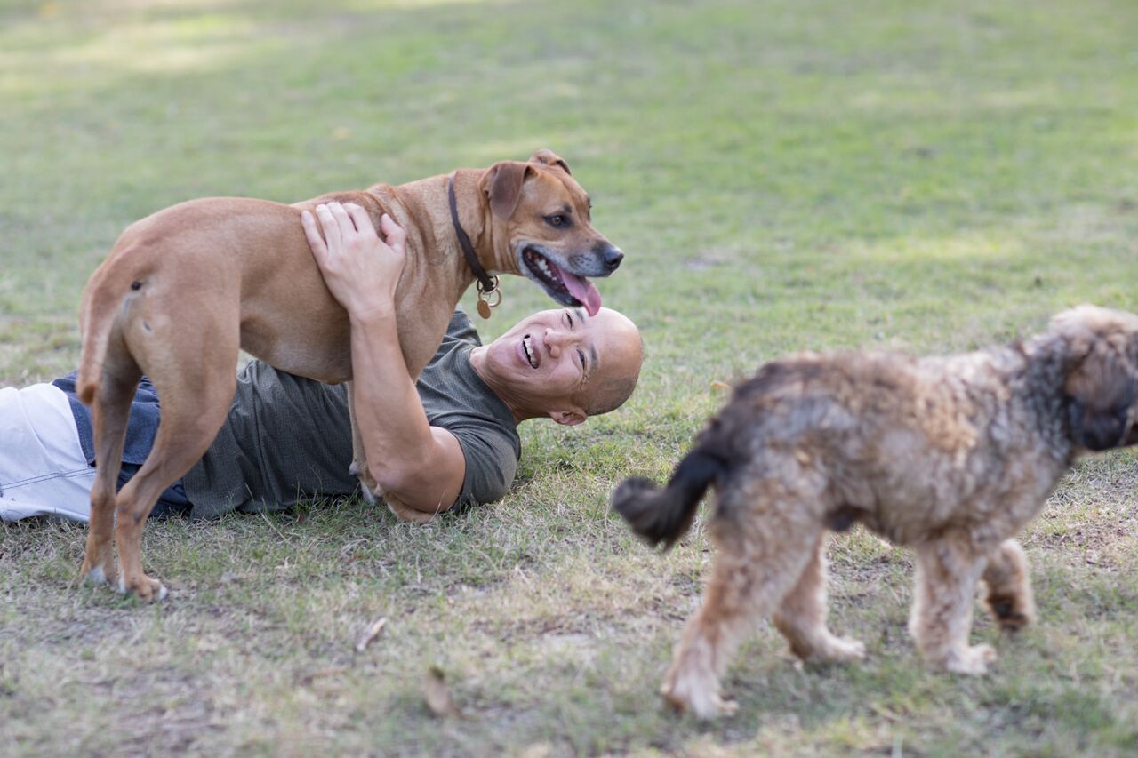 Charlie and his four legged friends. Image supplied.