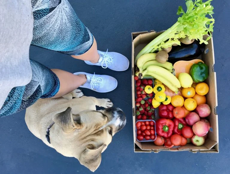 Fresh rainbow of plants to nourish your body. Image supplied.
