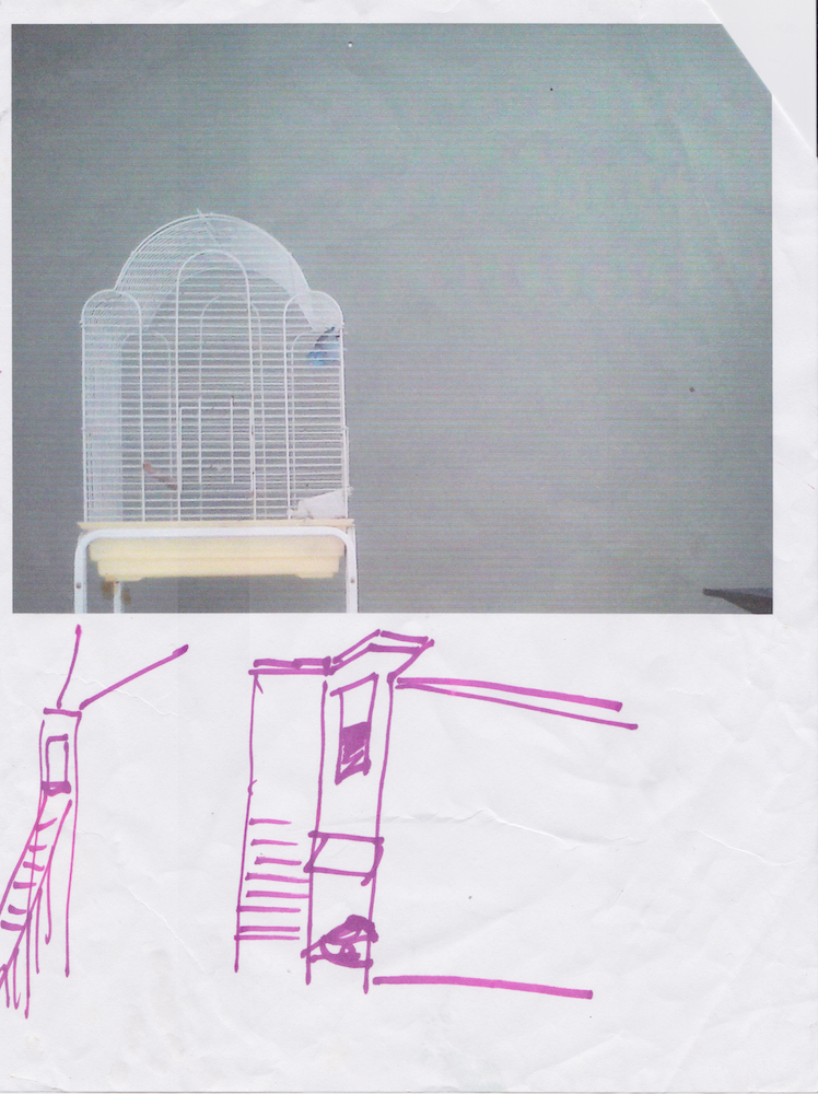  Mary Kattiny’s bird cage and sketch Printed 2015 Scanned October 2018 