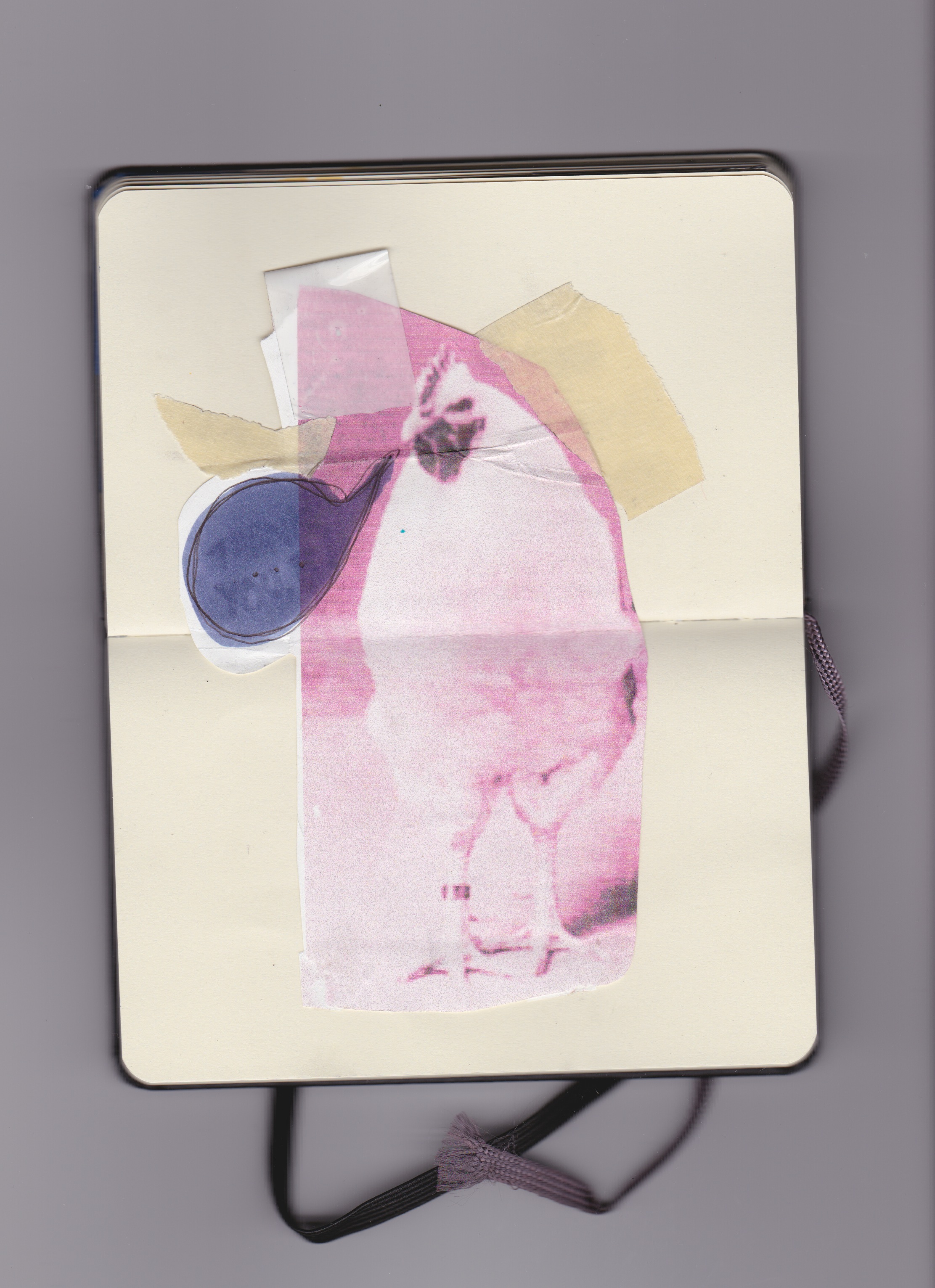 Chicken, 2013