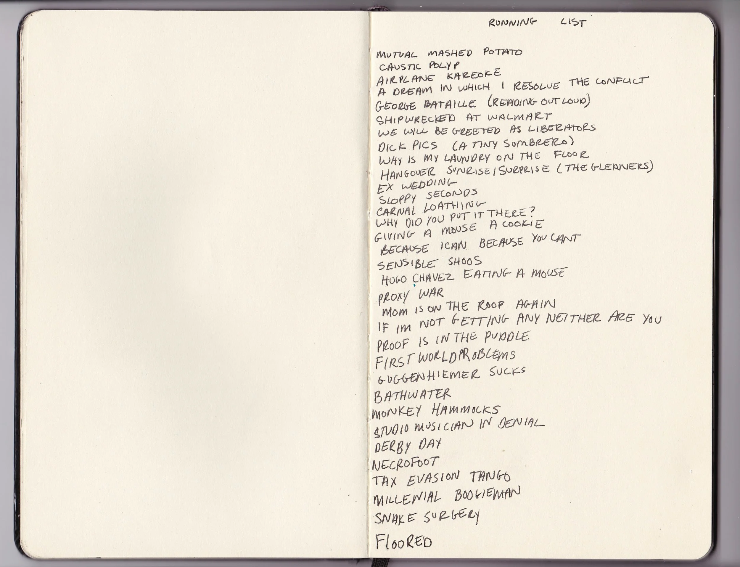 Running List (painting titles) 2013