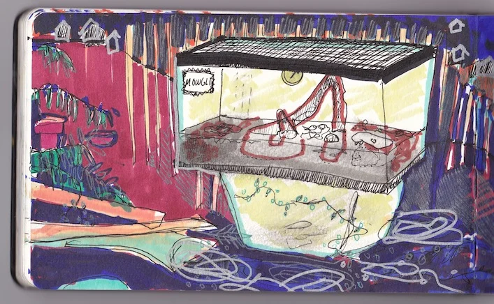 Cecilia’s Dead snake tank, 2014