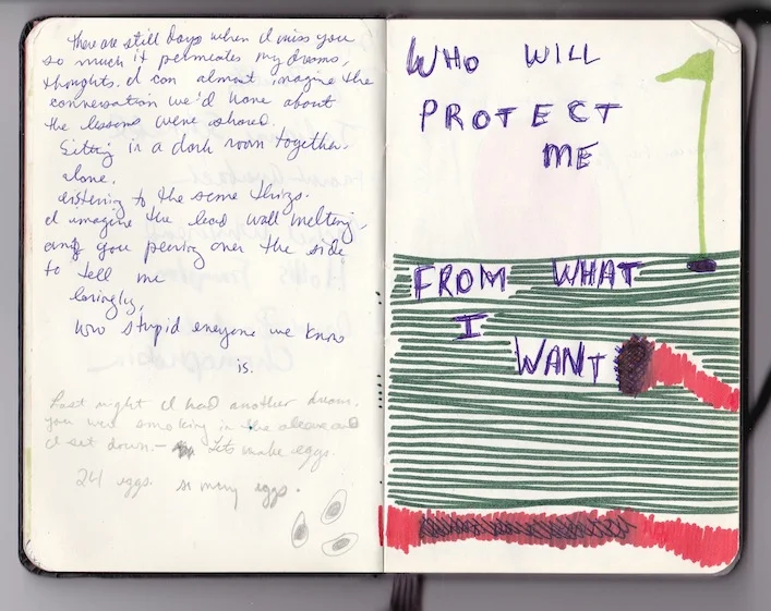 who will protect me from what I want, 2012