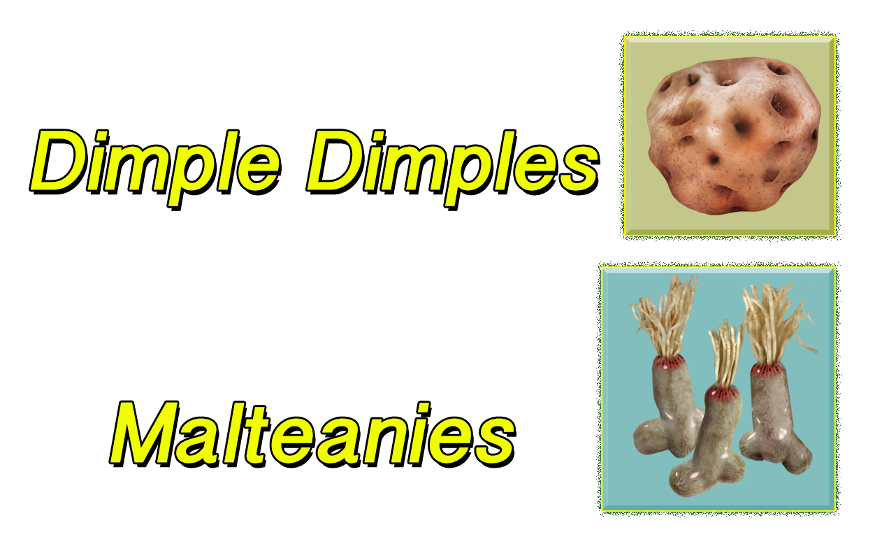 David Liebehart Fake Fruit - Dimple Dimples & Malteanies