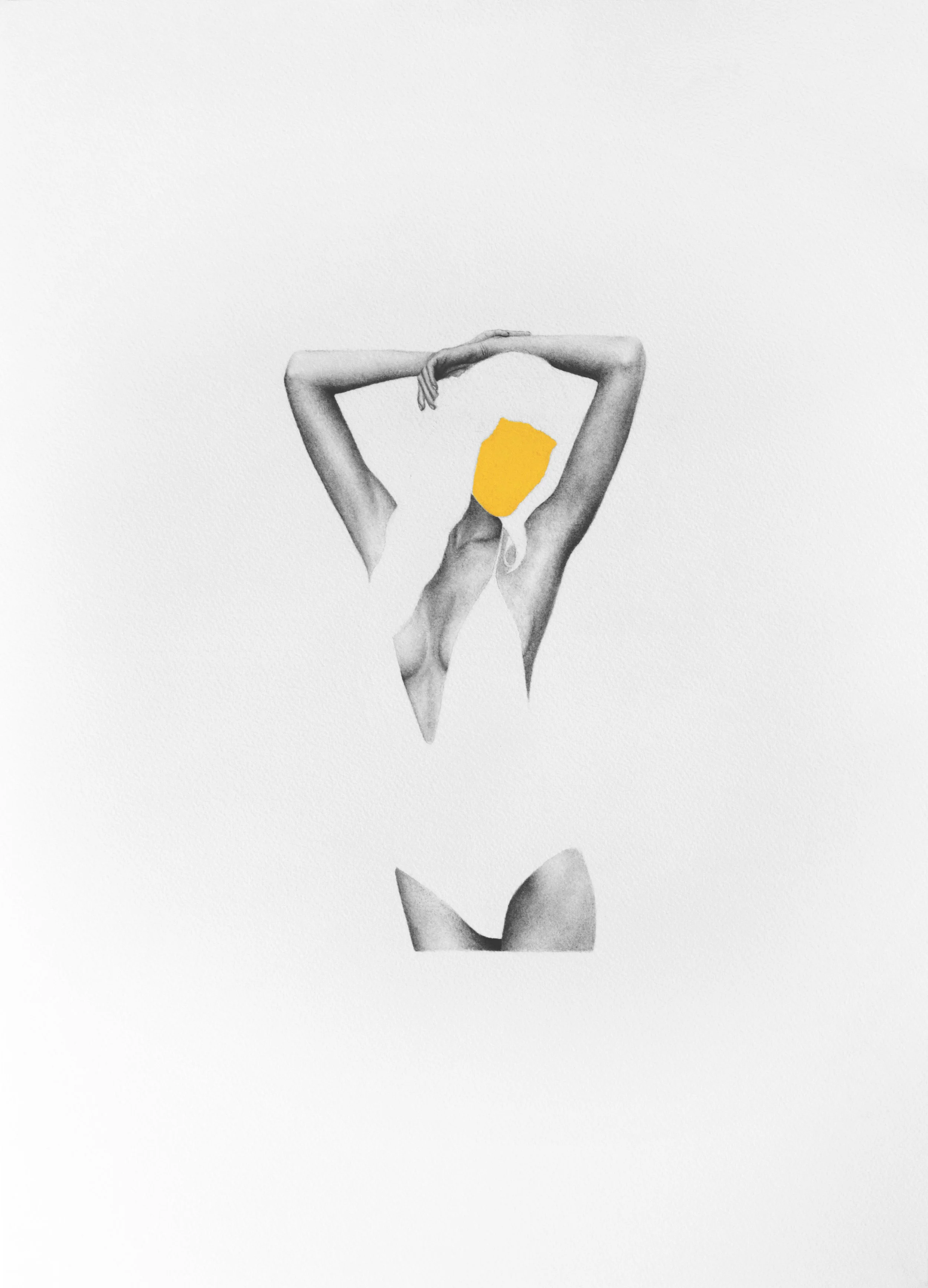 Advertisment Study In Yellow.jpg