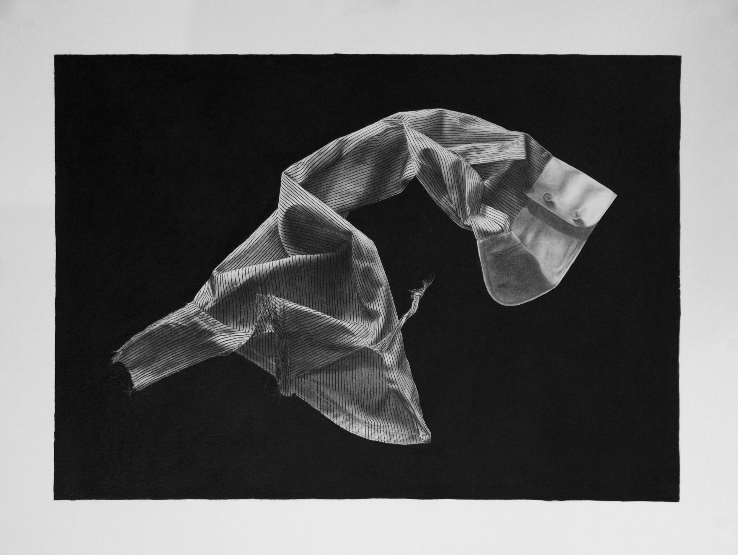Stasis(Sleeve In Carbon)Best.jpg