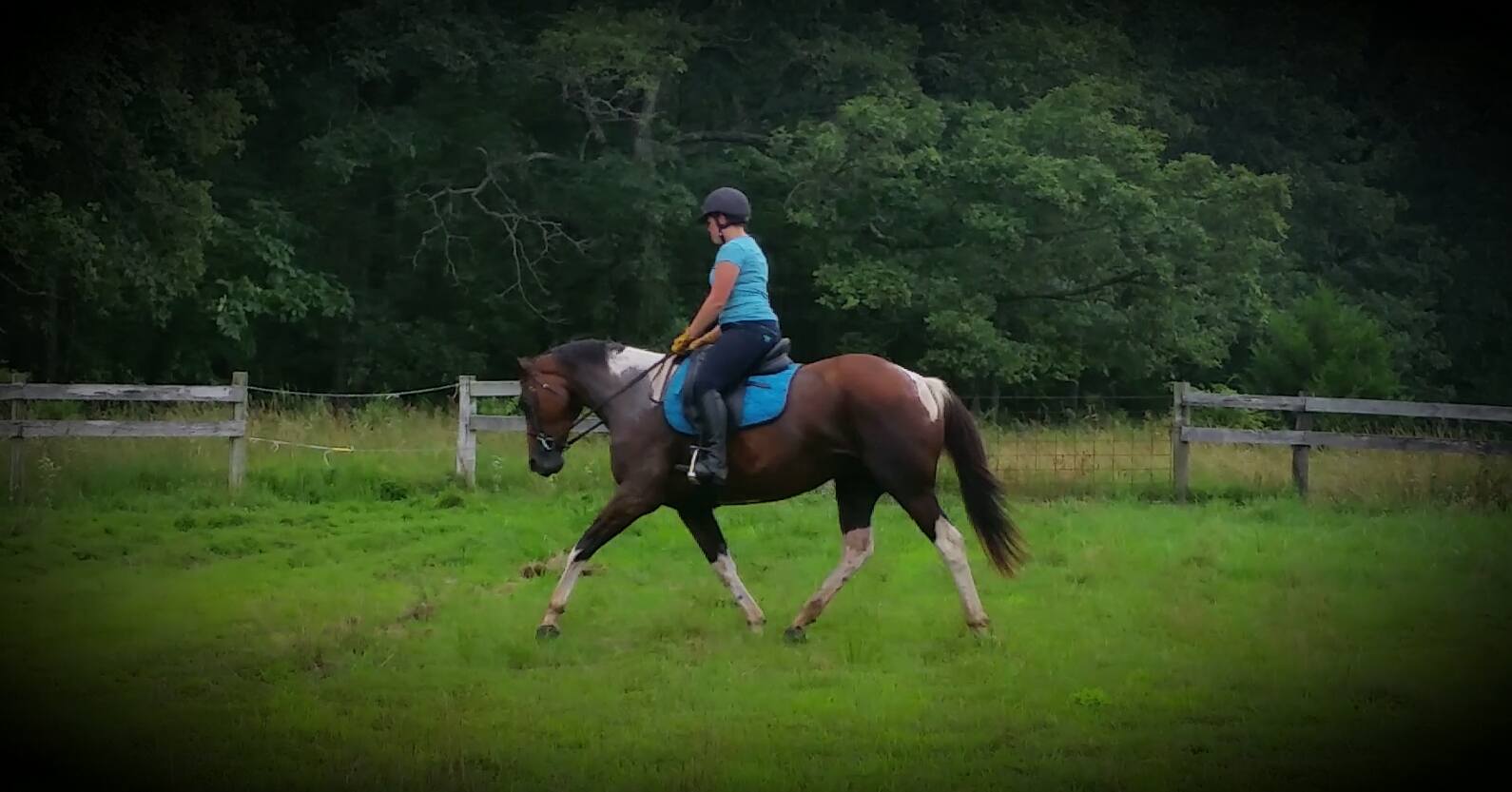 Dawns trot Dressage saddle.jpg