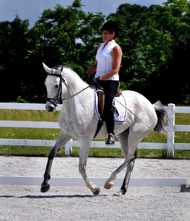 Cali canter.jpg