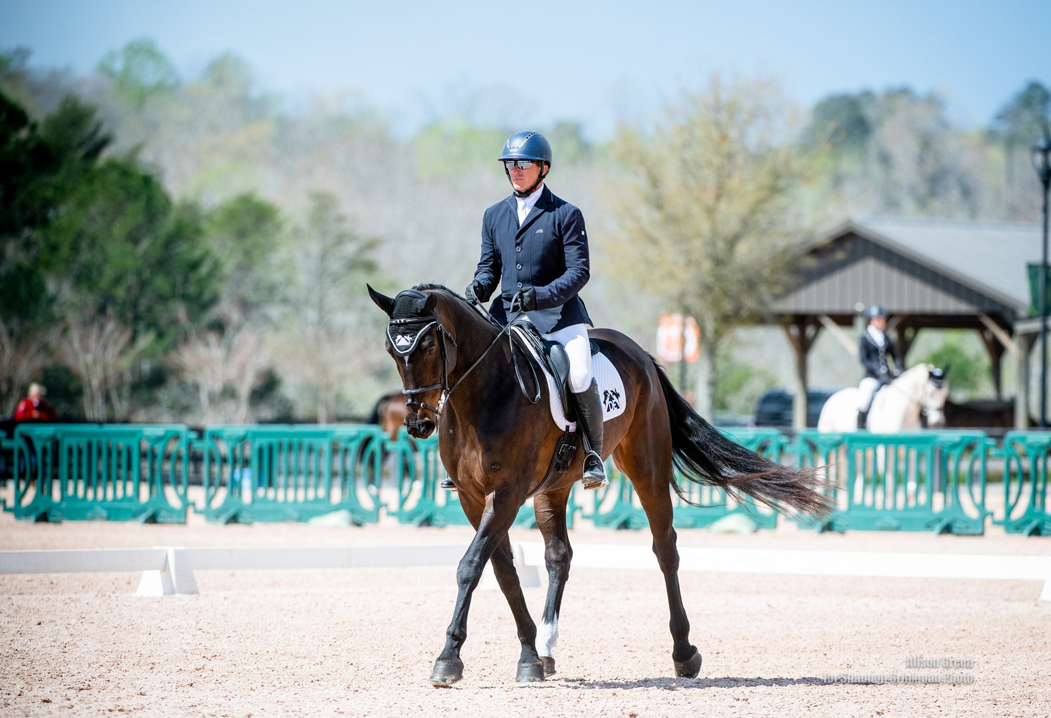 Lady Tryon dressage trot.jpg