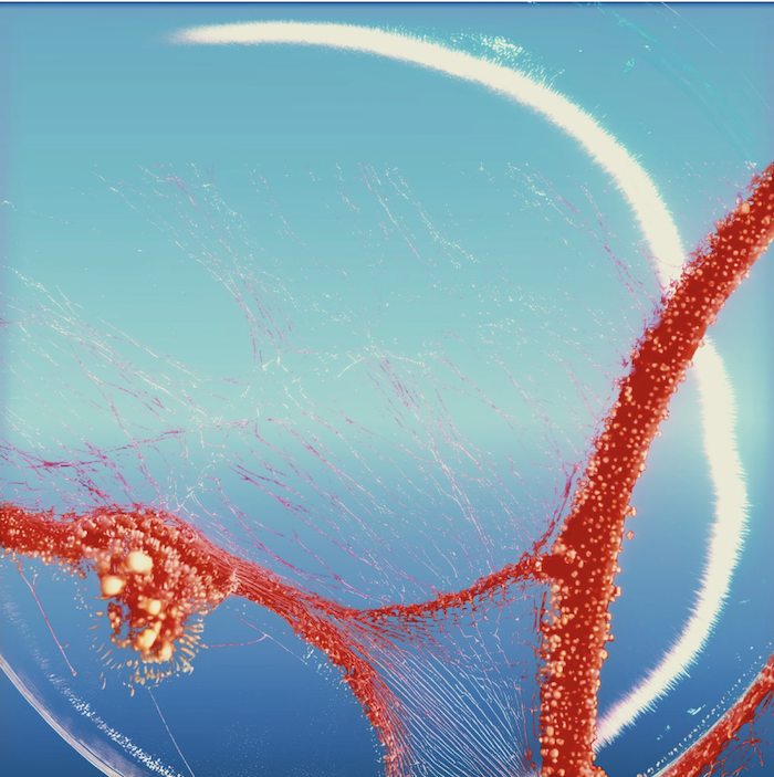 LAUREN MIA AND GABRIELLE ROMAN CRAFT DRIVING DANCE ANTHEM "RHYTHM OF REFUGE"