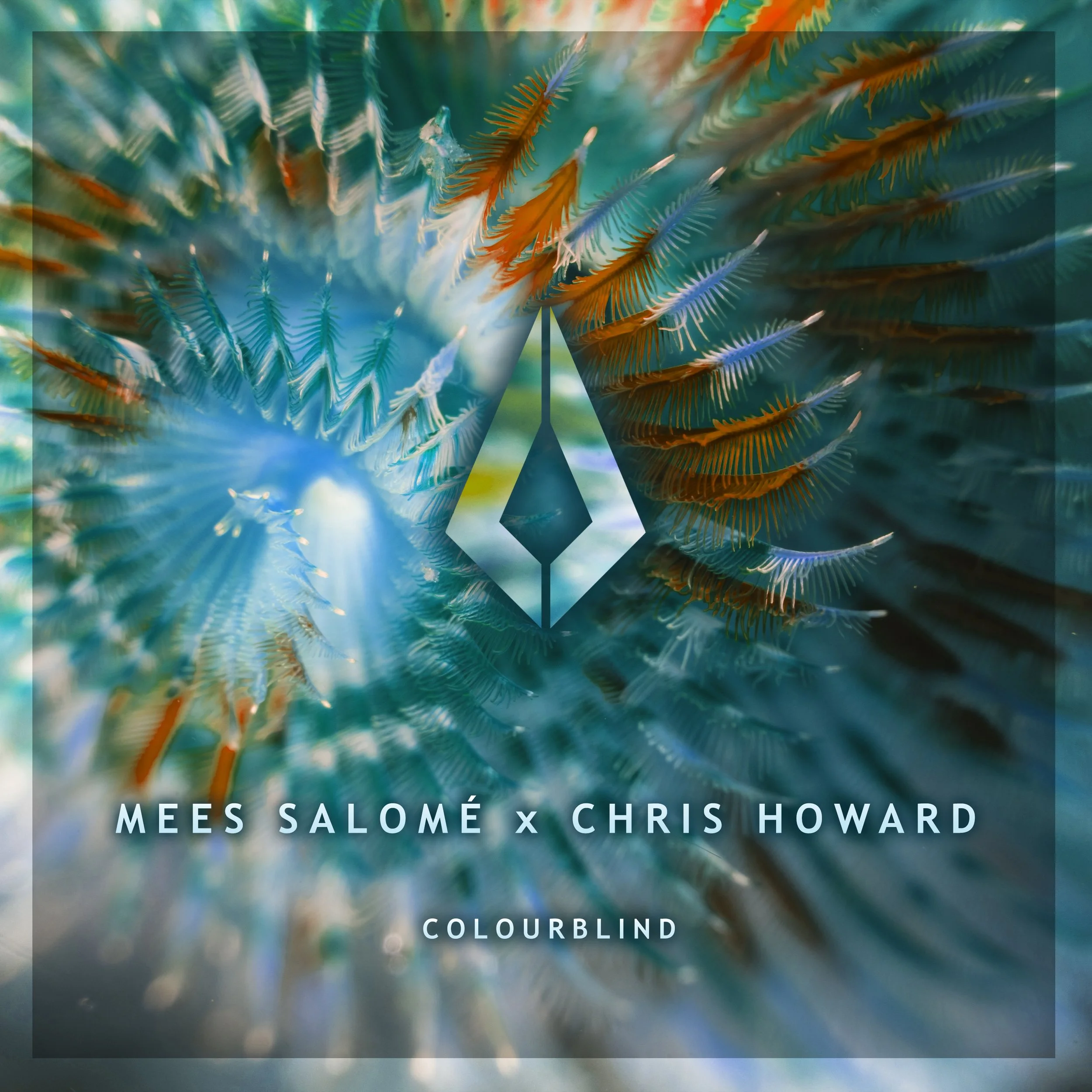 MEES SALOMÉ MARKS FIRST ORIGINAL RELEASE ON PURIFIED RECORDS WITH ‘COLOURBLIND’ FT. CHRIS HOWARD