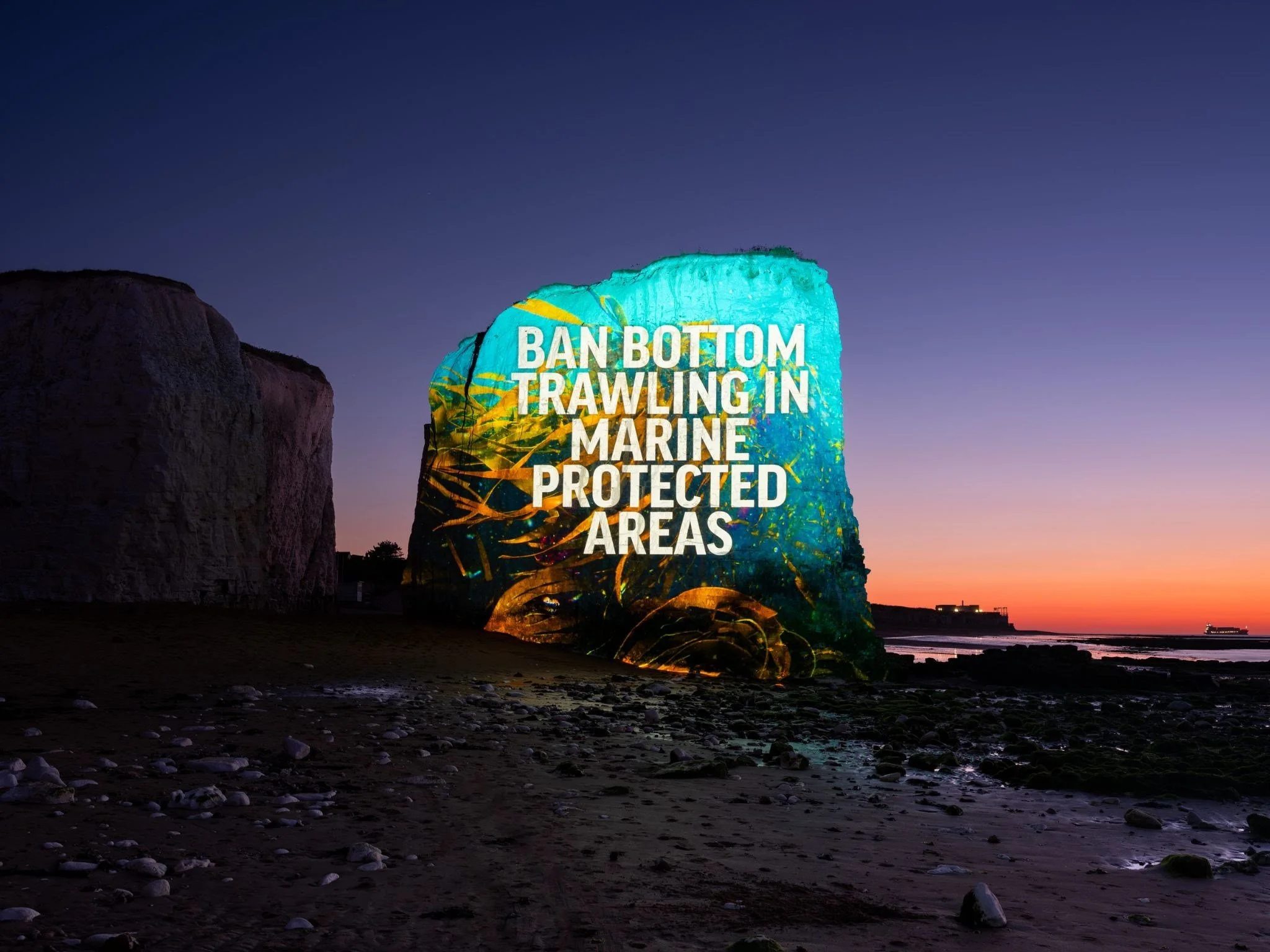 BOARDMASTERS FESTIVAL BACKS OCEANA’S CALL FOR BETTER PROTECTION FOR OCEAN SANCTUARIES